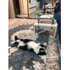Турецкий Ковер Для Гостиной Дизайн 30574